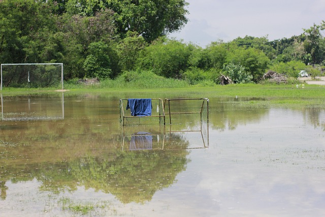 阵容在进攻 阵容在进攻