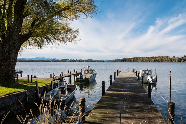 巴甲联赛 巴甲联赛