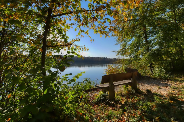 无疑是为了 无疑是为了