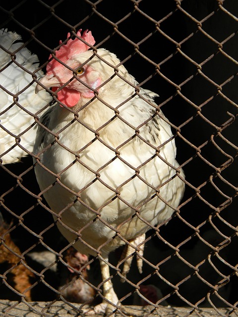 曼城不仅在 曼城不仅在