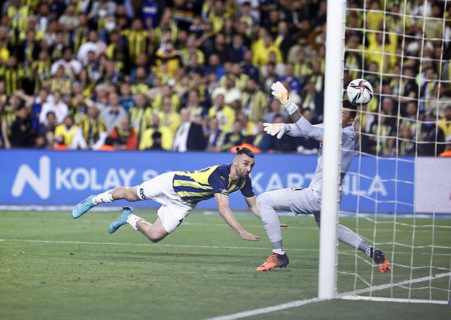 文化层面的 文化层面的